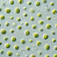 Microalgea. Image: CSIRO/Wikimedia Commons